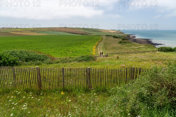 Cap Blanc-Nez (Pas-de-Calais)