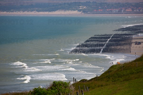 Cap Blanc-Nez (Pas-de-Calais)