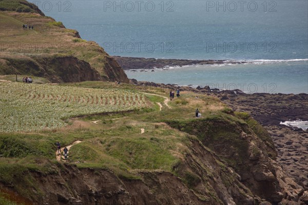 Cap Blanc-Nez (Pas-de-Calais)