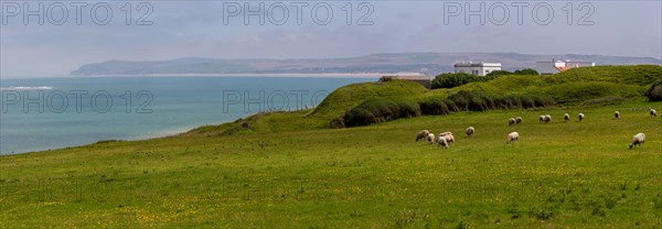 Cap Blanc-Nez (Pas-de-Calais)