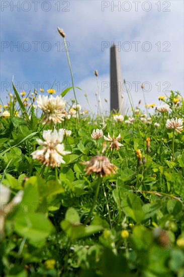 Cap Gris-Nez (Pas-de-Calais)