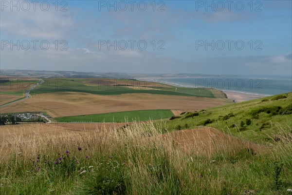 Cap Gris-Nez (Pas-de-Calais)