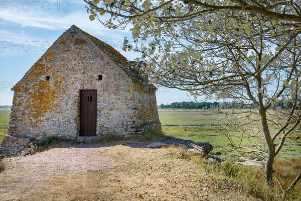 Saint-Germain-sur-Ay (Manche)