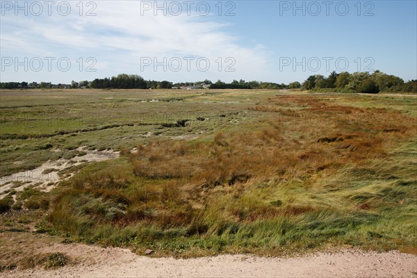 Saint-Germain-sur-Ay (Manche)