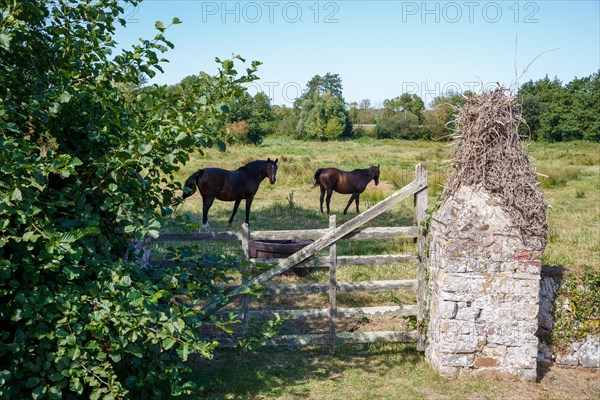 Saint-Germain-sur-Ay (Manche)