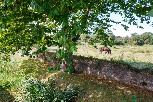 Saint-Germain-sur-Ay (Manche department)