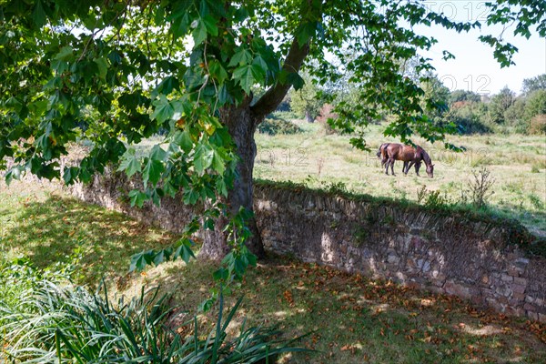 Saint-Germain-sur-Ay (Manche)