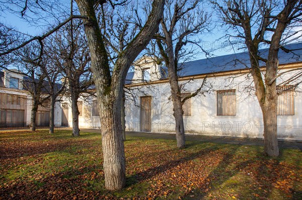 Château de Sceaux (Hauts-de-Seine), anciennes écuries