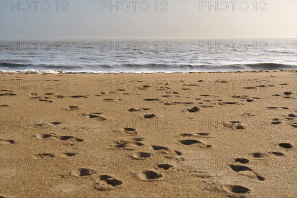 Beach of la Courance in Saint-Marc-sur-Mer, Loire-Atlantique