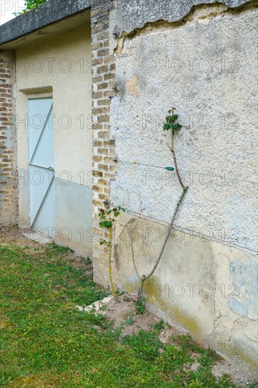 Reims, Foujita chapel