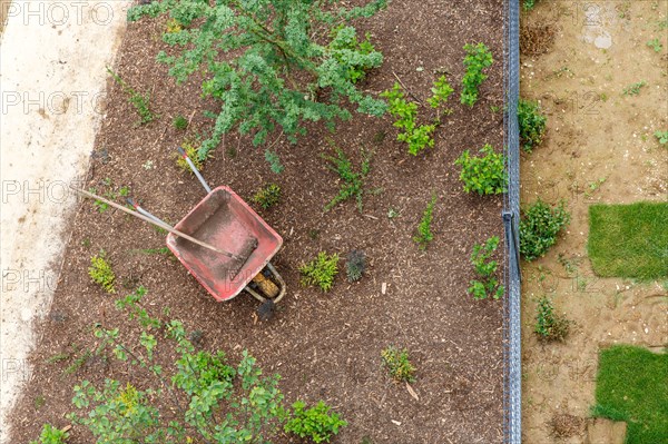 Montigny les Cormeilles, jardinage, pelouse