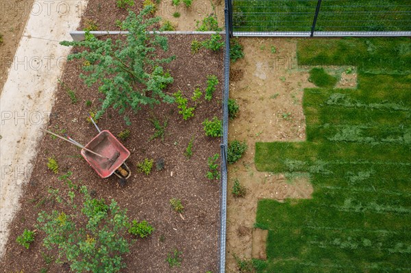 Montigny les Cormeilles, gardening, lawn