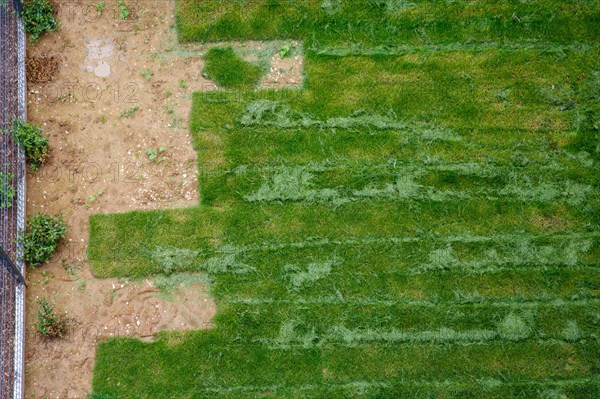 Montigny les Cormeilles, gardening, lawn