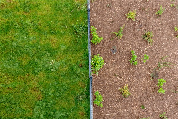 Montigny les Cormeilles, gardening, lawn