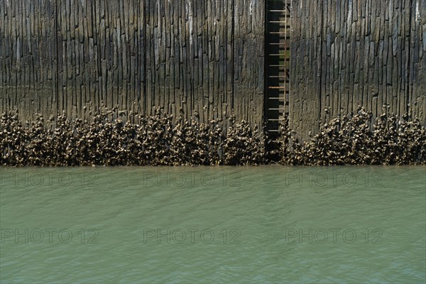 Pornic, Loire-Atlantique