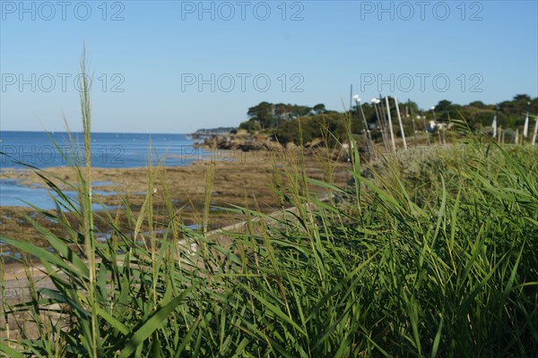 Pornic, Loire-Atlantique