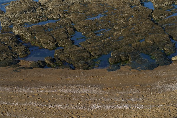 Pornic, Loire-Atlantique