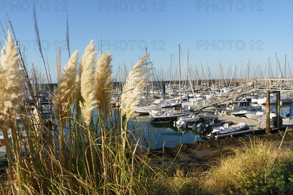 Pornic, Loire-Atlantique