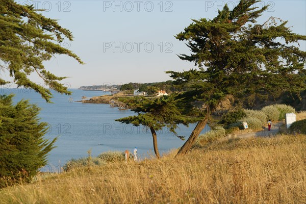 Pornic, Loire-Atlantique