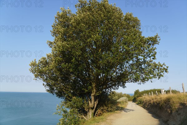 Pornic, Loire-Atlantique