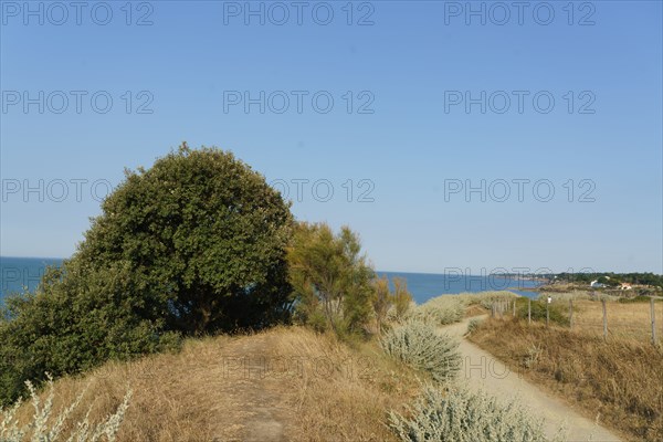 Pornic, Loire-Atlantique