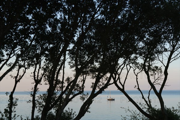 Pornic, Loire-Atlantique