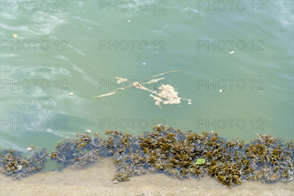 Pollution in Deauville