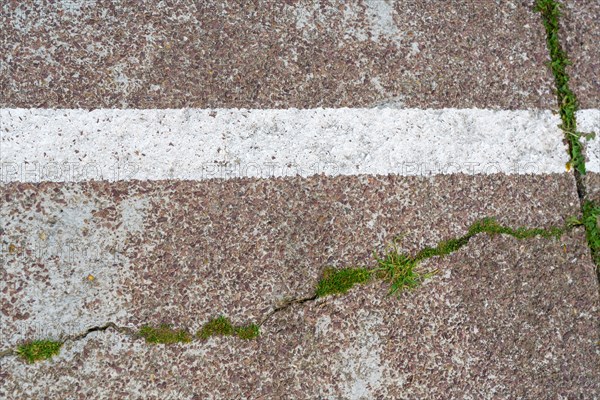 Cracked road and white stripe
