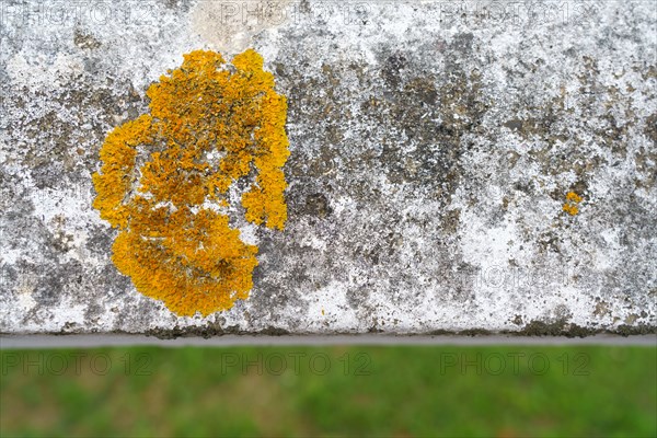 Detail of a cement fence