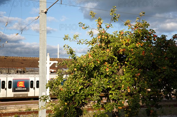 Gare de Deauville-Trouville, Calvados