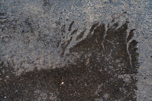 Trouville, wet pavement