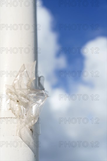 Trouville, urban mast