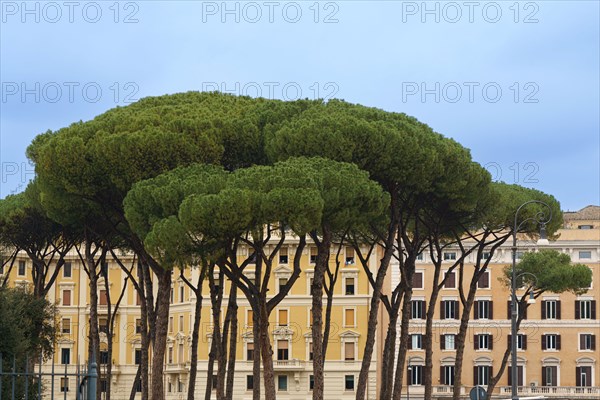 Rome, Italy