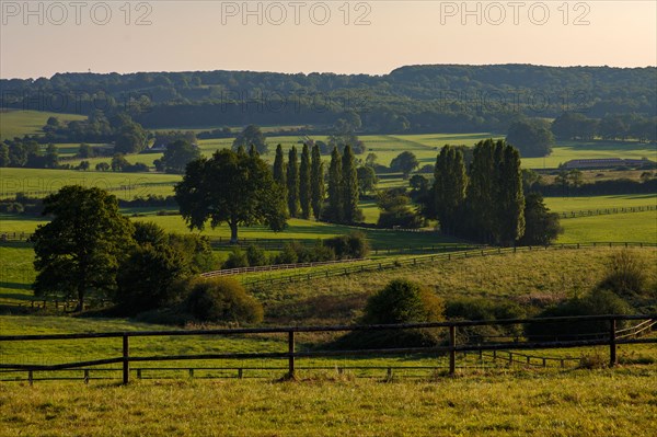 Landscape of the Orne region