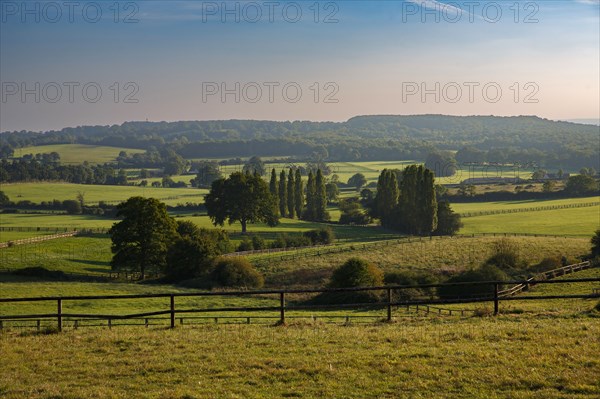 Landscape of the Orne region