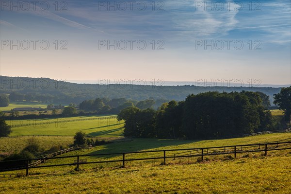 Landscape of the Orne region