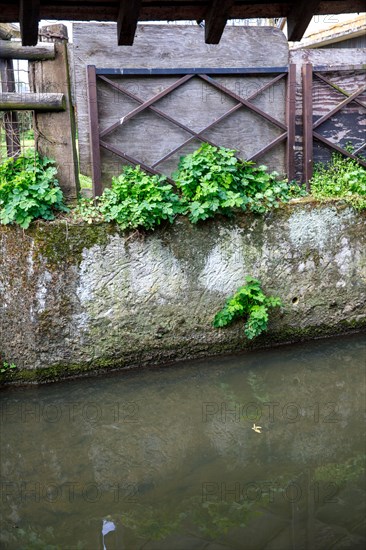 Beuvron-en-Auge, Calvados