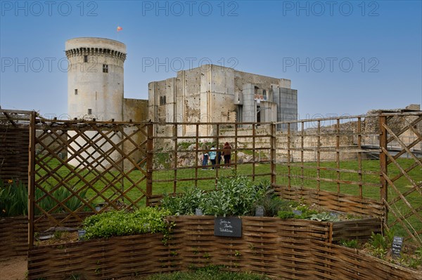 Falaise, Calvados