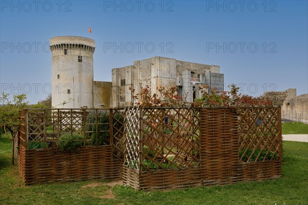 Falaise, Calvados