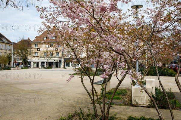 Falaise, Calvados