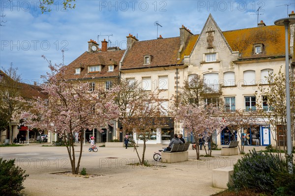 Falaise, Calvados