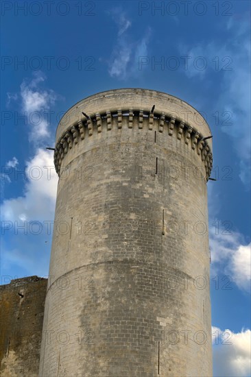 Falaise, Calvados