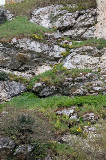 Falaise, Calvados