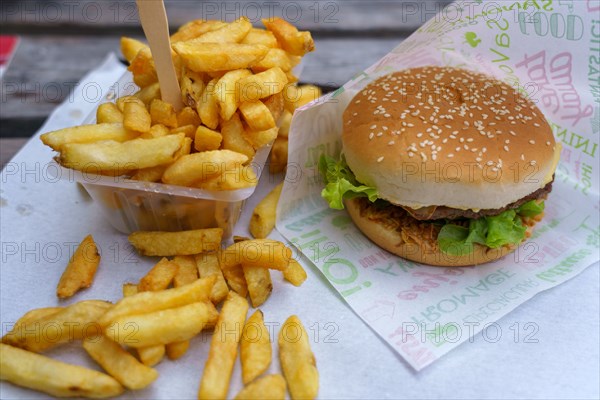 Hamburger and fries