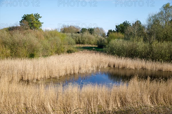 Saint-Valery-sur-Somme, Somme