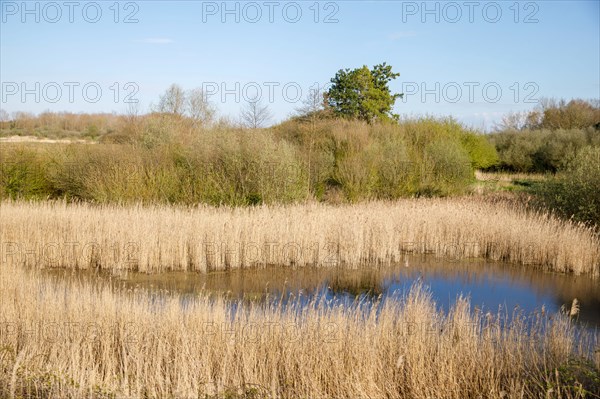 Saint-Valery-sur-Somme, Somme