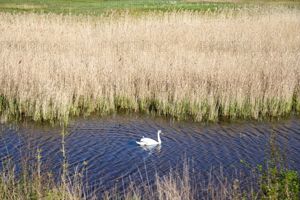 Saint-Valery-sur-Somme, Somme