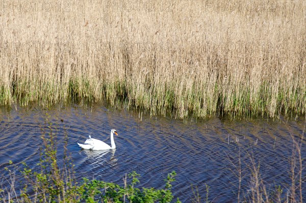 Saint-Valery-sur-Somme, Somme