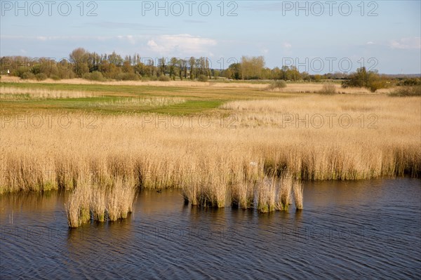 Saint-Valery-sur-Somme, Somme