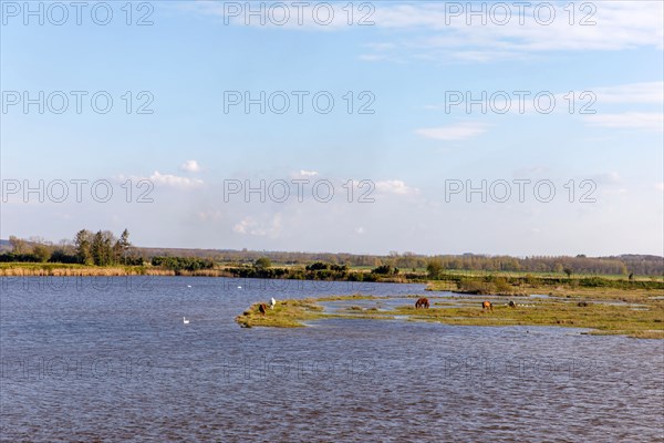 Saint-Valery-sur-Somme, Somme